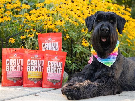 Stella & Chewy's Dog Treats 8.25oz Bag Only $6.56 Shipped on Amazon + More Deals | Hip2Save