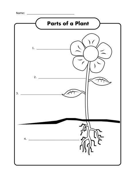 Free Science Worksheets | Activity Shelter