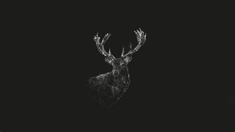 deer, Monochrome, Wireframe, Lines, Abstract, Geometry, Simple, Stags, Animals, Digital Art ...