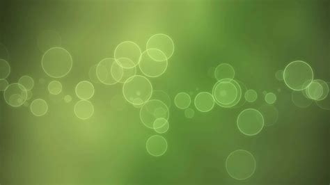 Download Soothing Light Green Background | Wallpapers.com