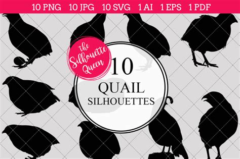 Quail Silhouette Vector By The Silhouette Queen | TheHungryJPEG