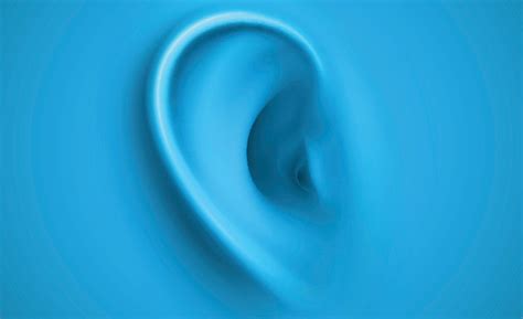 New study further supports that age-related hearing loss in patients ...