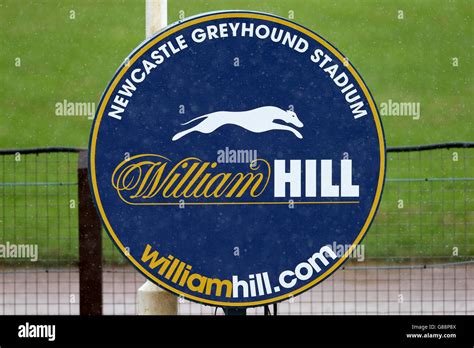 Greyhound Racing - Newcastle Greyhound Stadium Stock Photo - Alamy