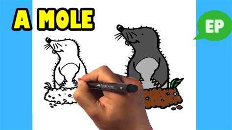 How to Draw a Mole - Cute Animal Drawing Lesson - YouTube