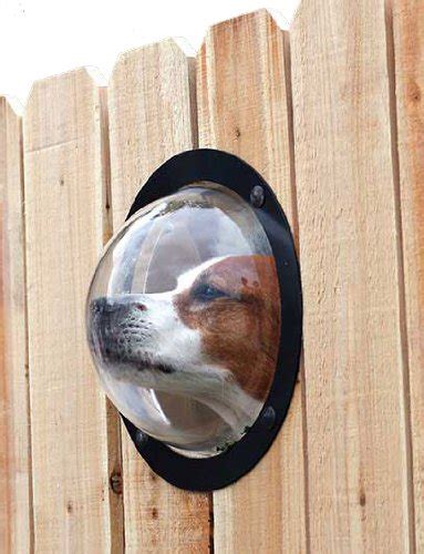 8 Dog-Friendly Backyard Ideas to Delight Your Pet- DogVills