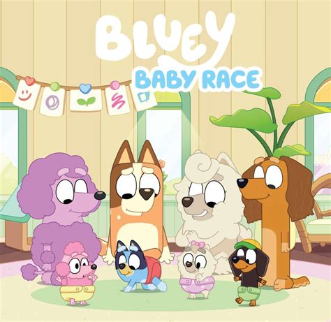 BLUEY: BABY RACE | Brumby Sunstate