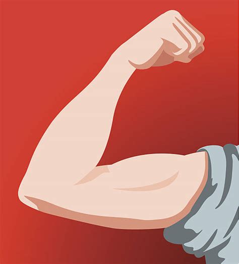 Human Arm Clip Art, Vector Images & Illustrations - iStock