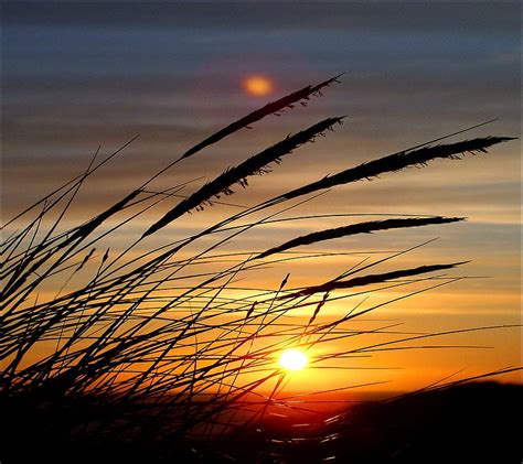 Sunset, grass, sky, HD wallpaper | Peakpx