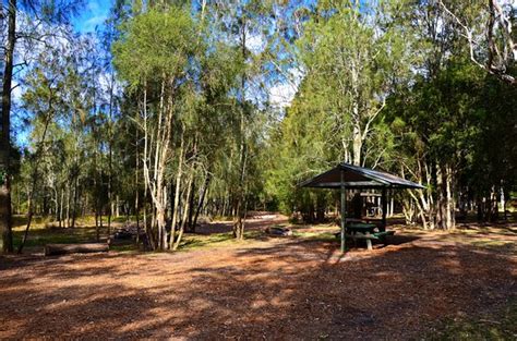 JERVIS BAY CABINS & CAMPING: 2018 Prices & Reviews (Woollamia) - Photos of Campground - TripAdvisor