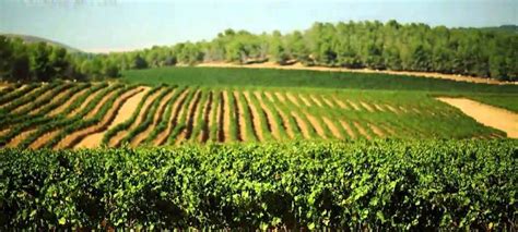 UN Adopts Israeli Resolution on Agricultural Technology | United with Israel