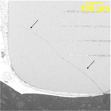 Ceramic Capacitor Failure Analysis - SEM Lab Inc.