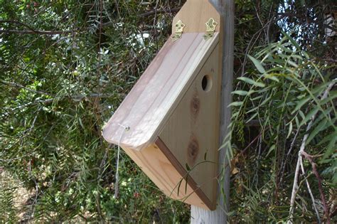 Finch Bird Houses Let's Get it Right | Birdcage Design Ideas