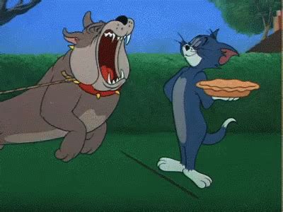 Pie Slap GIF - Pie Slap TomAndJerry - Discover & Share GIFs | Tom and jerry gif, Tom and jerry ...