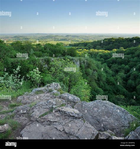 Ebbor Gorge, Somerset Stock Photo - Alamy