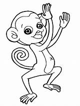 Monkey Printable coloring Page  Download Print Or Color Online For Free sketch template