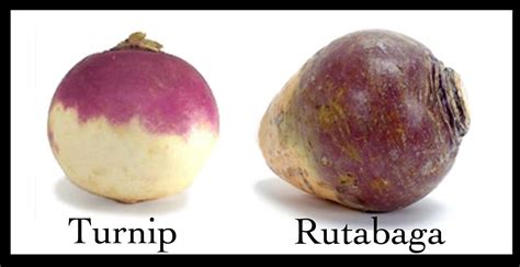 Produce Confusion: Yam or Sweet Potato? Rutabaga or Turnip? Kale or Spinach? | Health Stand ...