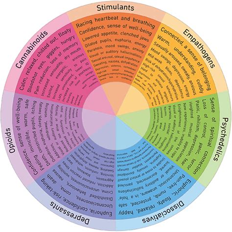 The Drugs Wheel: a new model for substance awareness