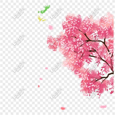 Gambar Bunga Sakura PNG Unduh Gratis - Lovepik