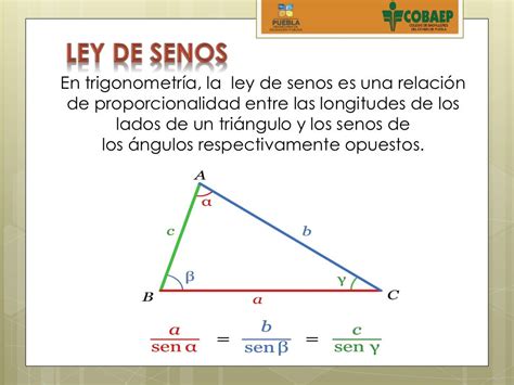 Ley de senos