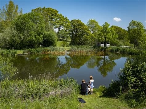 Wood Farm Holiday Park (PHolsUK) , Charmouth Campsites, Dorset