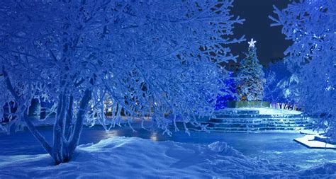 🔥 [48+] Bing Wallpapers Christmas Pictures | WallpaperSafari