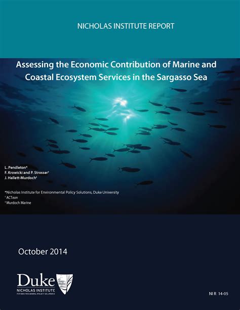 STUDY: Economic valuation of the ecosystem services of the Sargasso Sea | WWF