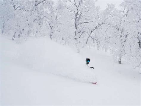 Niseko Weather and Snow Cams | Japan Ski Experience