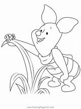 Disney Baby Piglet Coloring Pages sketch template