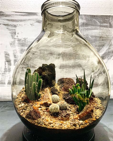 Cactus Terrarium Diy - Do It Yourself