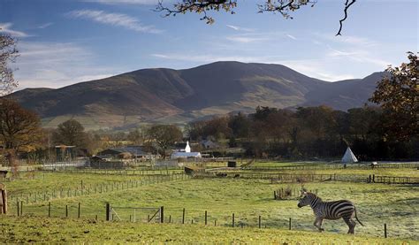 The Lake District Wildlife Park - Bassenthwaite - Visit Lake District