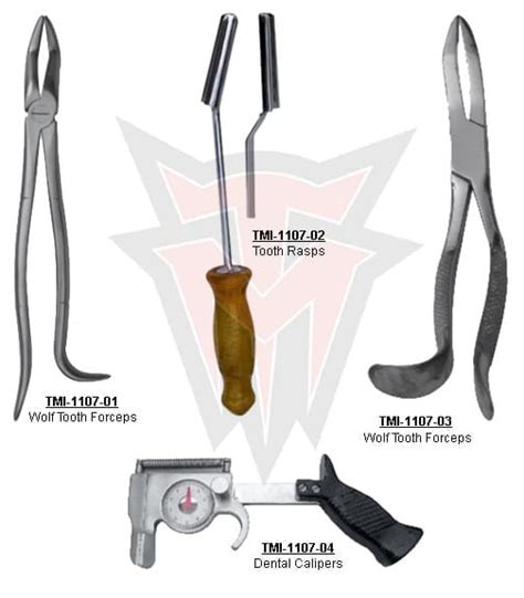 Equine Dental Instruments. Ref: 7071