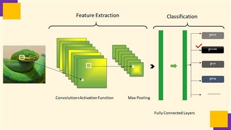 Classical Convolutional Neural Networks[CNN] - Machine Learning | AI ...