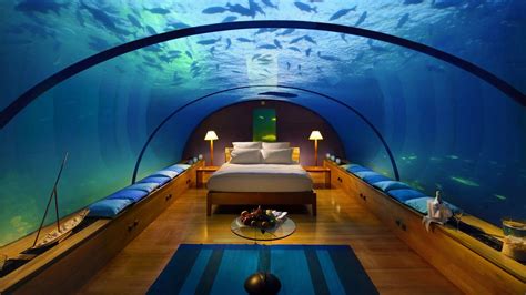 Yes please, I would like to sleep with the fishes! | Underwater bedroom, Underwater hotel room