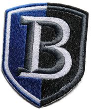 Bentley Falcons logo Iron On Patch - Beyond Vision Mall