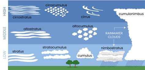 Antwort What are five cloud types? Weitere Antworten – What are the types of cloud ...