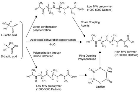 Synthesis of polylactic acid (PLA) from l-and d-lactic acids [28].... | Download Scientific Diagram