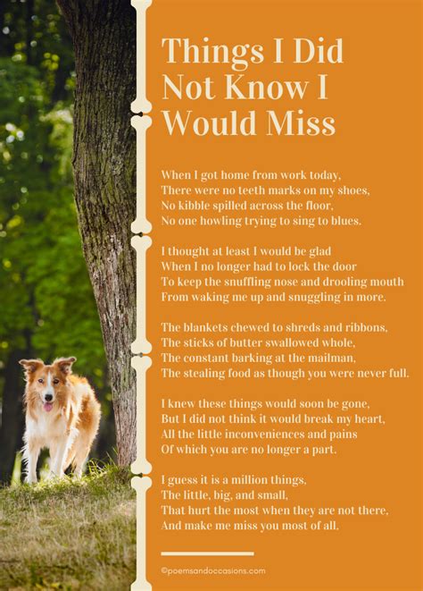 Poetry to Grieve the Loss of a Pet in 2021 | Pet loss poem, Pet loss ...