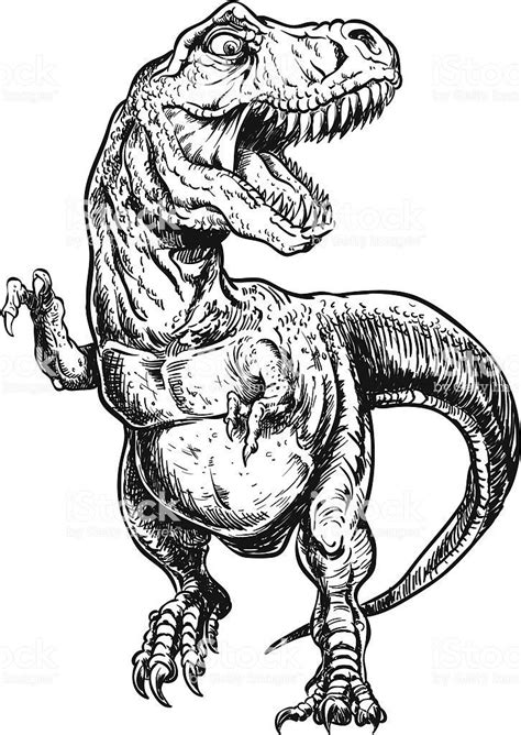 Hand Drawn Tyrannosaurus Dinosaurier Vektor-Illustration Lizenzfreies hand drawn tyrannosaurus ...