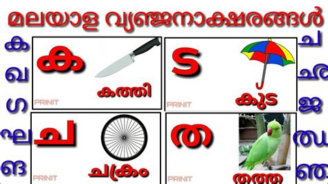 Learn Malayalam Consonants(വ്യഞ്ജനം, vyañjanam) | Malayalam Alphabet ...