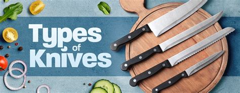 The Essential Knives for Every Kitchen: A Complete Guide - Knives Task