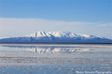 Winter In Alaska | Alaska, Nature, Photography