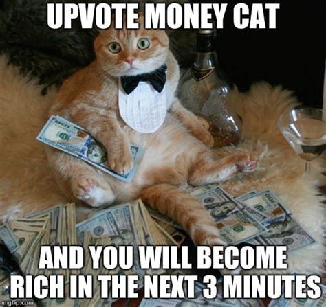 MONEY CAT - ALTERNATIVE FACTS - Imgflip