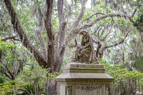 Wormsloe Historic Site & Bonaventure Cemetery Tour from Savannah 2024