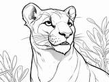 Kids Panther Coloring Page  Coloring Page sketch template