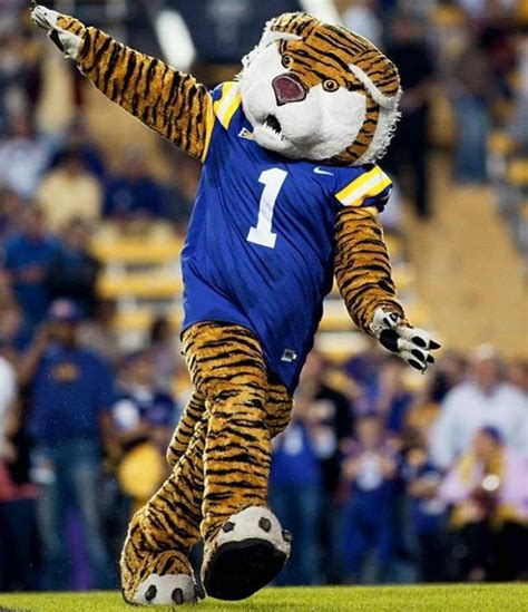 Best 109 College Football Mascots images on Pinterest | Sports