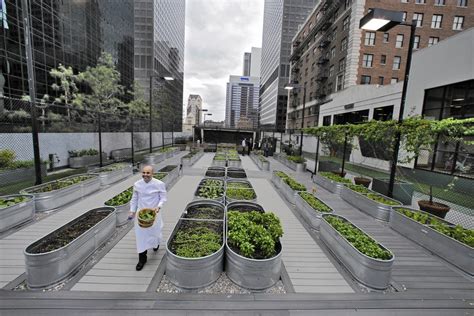 Urban Agriculture 101: All About Urban Farming in U.S. Cities