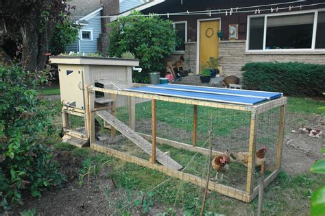 Файл:Backyard chicken coop with green roof.jpg — Уикипедия