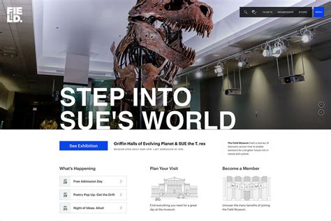 22 Best Museum Website Designs For Inspiration 2024 - Colorlib