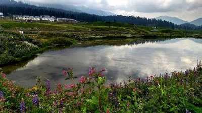 Gulmarg Biosphere Reserve, Gulmarg Kashmir - Holidify