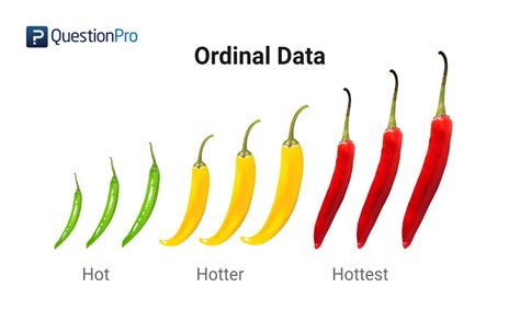 Ordinal Data: Definition, Analysis, and Examples